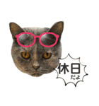 フクちゃんと一緒☆（個別スタンプ：8）