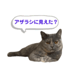フクちゃんと一緒☆（個別スタンプ：10）