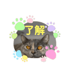 フクちゃんと一緒☆（個別スタンプ：15）