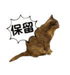 フクちゃんと一緒☆（個別スタンプ：16）