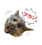 フクちゃんと一緒☆（個別スタンプ：18）