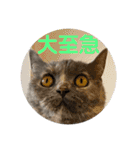 フクちゃんと一緒☆（個別スタンプ：19）