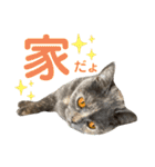 フクちゃんと一緒☆（個別スタンプ：22）