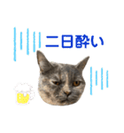フクちゃんと一緒☆（個別スタンプ：23）