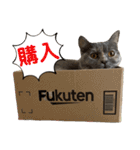 フクちゃんと一緒☆（個別スタンプ：24）
