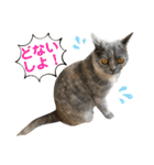 フクちゃんと一緒☆（個別スタンプ：25）