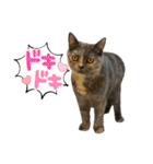 フクちゃんと一緒☆（個別スタンプ：27）