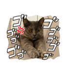 フクちゃんと一緒☆（個別スタンプ：28）