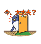 ひぃふくペンギン（個別スタンプ：11）