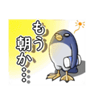 ひぃふくペンギン（個別スタンプ：15）