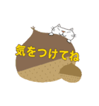 Juns の猫の秋まつり（個別スタンプ：16）