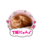 さぶちゃんっていう猫のスタンプ（個別スタンプ：11）