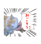 野良猫のついさんこいさん（個別スタンプ：12）