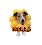 テオの毎日（個別スタンプ：1）