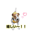 テオの毎日（個別スタンプ：6）