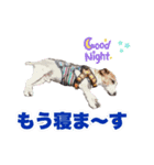 テオの毎日（個別スタンプ：8）
