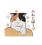 三毛猫とたんぽぽ（個別スタンプ：16）