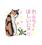 三毛猫とたんぽぽ（個別スタンプ：18）