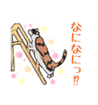 三毛猫とたんぽぽ（個別スタンプ：19）