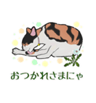 三毛猫とたんぽぽ（個別スタンプ：20）