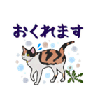 三毛猫とたんぽぽ（個別スタンプ：21）