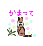 三毛猫とたんぽぽ（個別スタンプ：28）