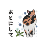 三毛猫とたんぽぽ（個別スタンプ：31）