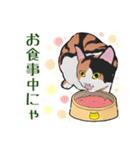 三毛猫とたんぽぽ（個別スタンプ：32）