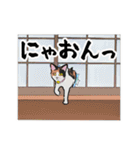 三毛猫とたんぽぽ（個別スタンプ：34）