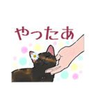 さびねことレモン（個別スタンプ：5）