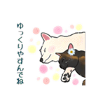 さびねことレモン（個別スタンプ：11）