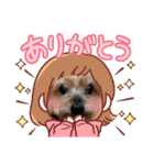 ヨーキーはるの喜怒哀楽。（個別スタンプ：5）