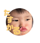 hieeandyouu②（個別スタンプ：7）