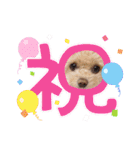 モカちゃん日記その7（個別スタンプ：6）