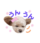 モカちゃん日記その7（個別スタンプ：15）