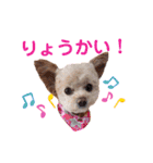 モカちゃん日記その7（個別スタンプ：21）