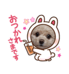 モカちゃん日記その7（個別スタンプ：24）