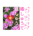 京都関西系デカ字花№11byHRKemperorsSTAMP（個別スタンプ：2）