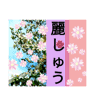 京都関西系デカ字花№11byHRKemperorsSTAMP（個別スタンプ：4）