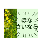 京都関西系デカ字花№11byHRKemperorsSTAMP（個別スタンプ：7）