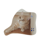 ねこマンちゃんスタンプ（個別スタンプ：7）