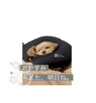 まりん♡らて（個別スタンプ：7）