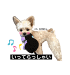 まりん♡らて（個別スタンプ：19）