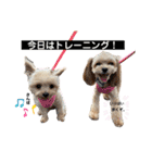 まりん♡らて（個別スタンプ：26）