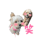 まりん♡らて（個別スタンプ：32）