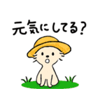 チワワと女の子♪夏の終わり（個別スタンプ：13）