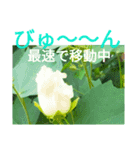 急ぐイメージ！花画像by 博子大公聖№12（個別スタンプ：2）