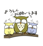 毎日使えるフクロウスタンプ（個別スタンプ：13）