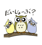 毎日使えるフクロウスタンプ（個別スタンプ：34）