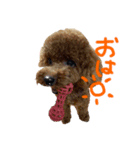 ちょこりーぬ（個別スタンプ：7）